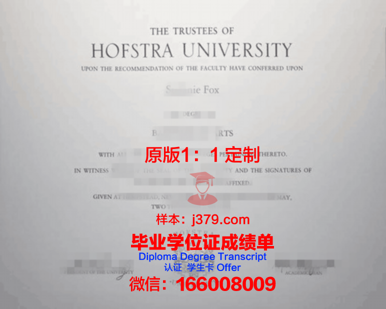 霍夫应用技术大学毕业证案例