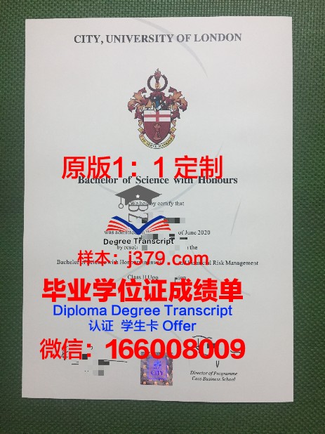 尼科西亚大学本科毕业证：开启国际教育新篇章