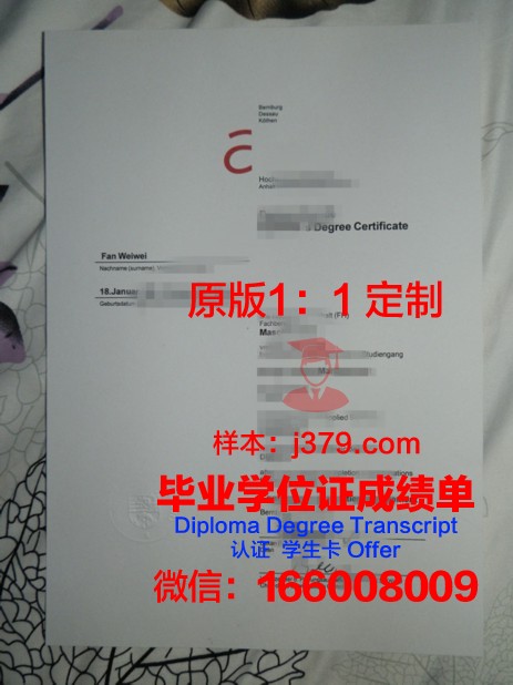 卡塞尔CVJM应用技术大学毕业证书:开启职业生涯的金钥匙