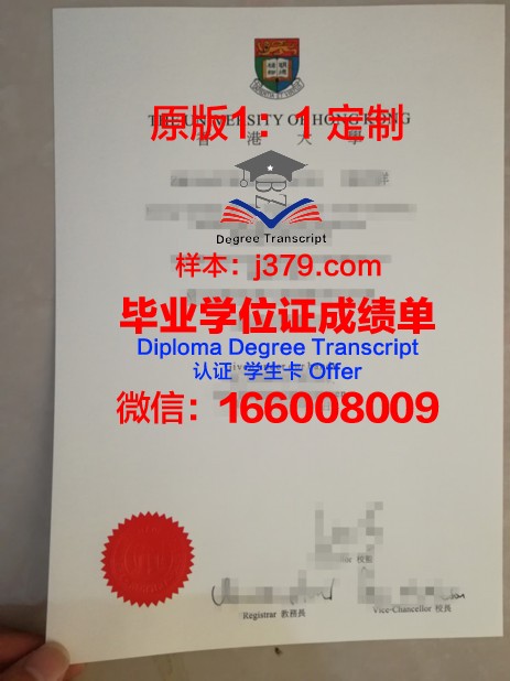 香港大学毕业证