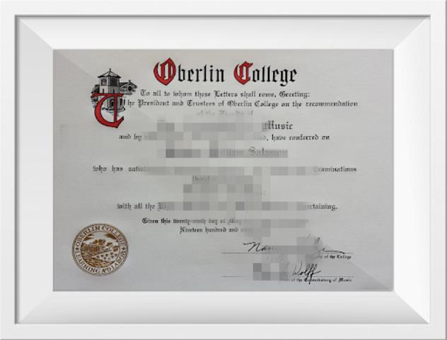 柏林自由大学毕业证成绩单