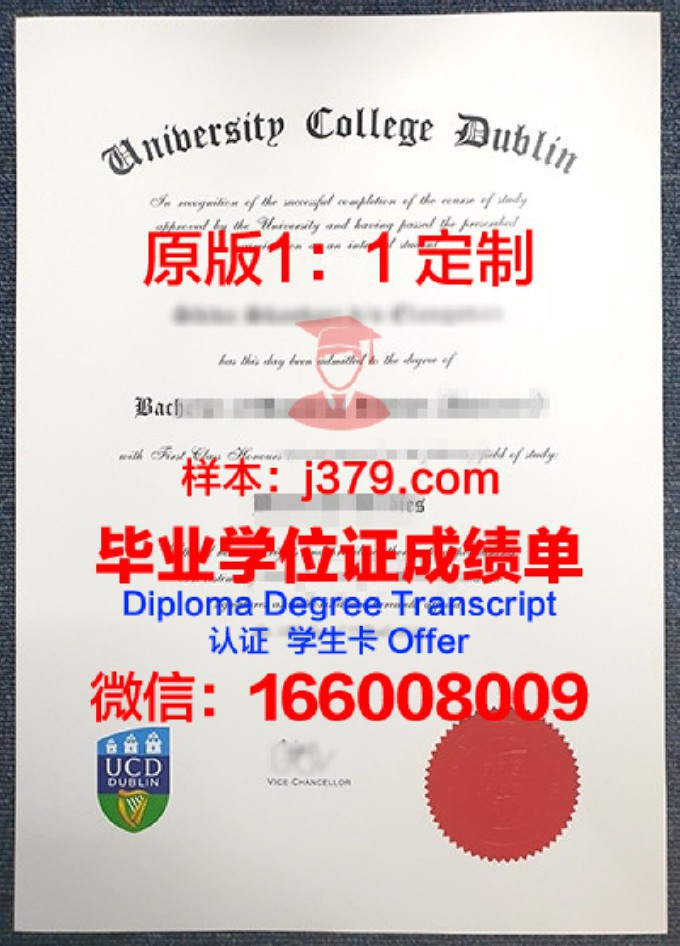 北京工业大学都柏林学院毕业证图片(北京工业大学都柏林学院官网)