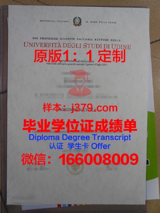乌迪内大学毕业学位证图片(乌迪内美院是公立大学吗)
