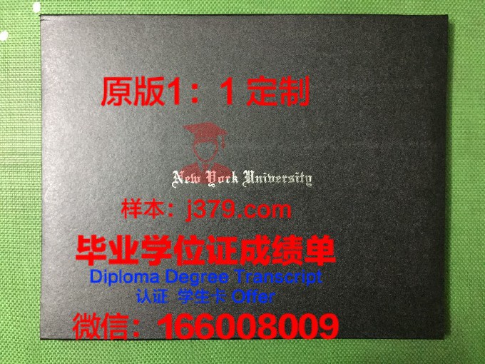 静冈国际航空专门学校diploma
